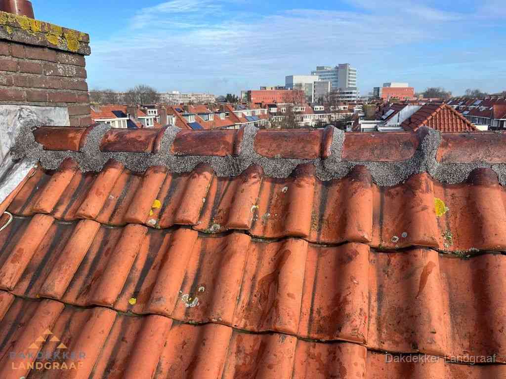 Nieuw bitumen plat dak met uitzicht over woonwijk in Landgraaf Nieuw bitumen plat dak met uitzicht over woonwijk in Landgraaf