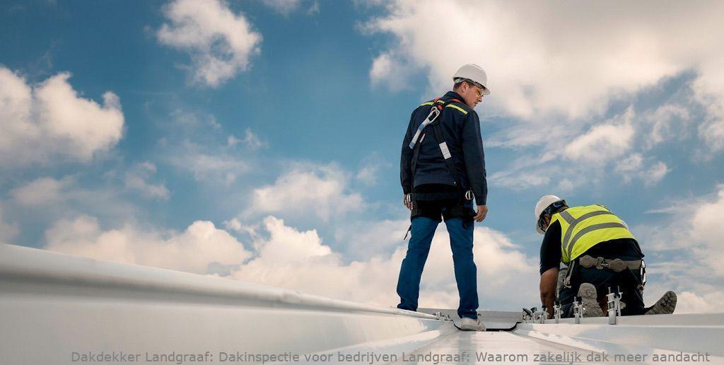 Dakinspectie Voor Bedrijven Landgraaf