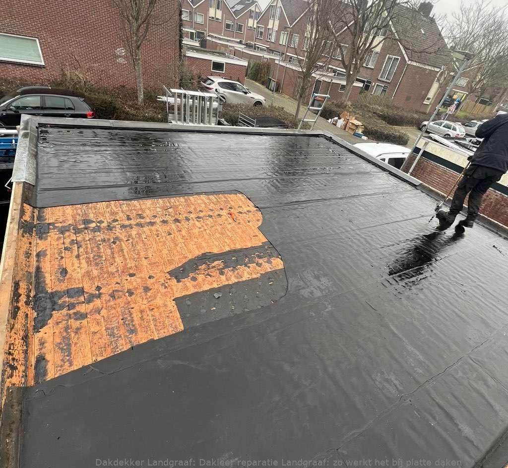 Dakleer Reparatie Landgraaf