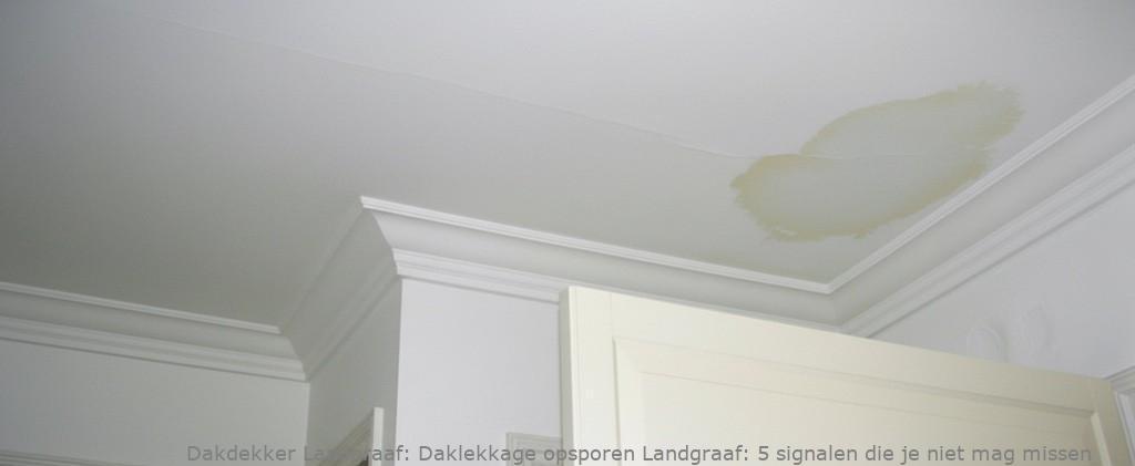 Daklekkage Opsporen Landgraaf 1