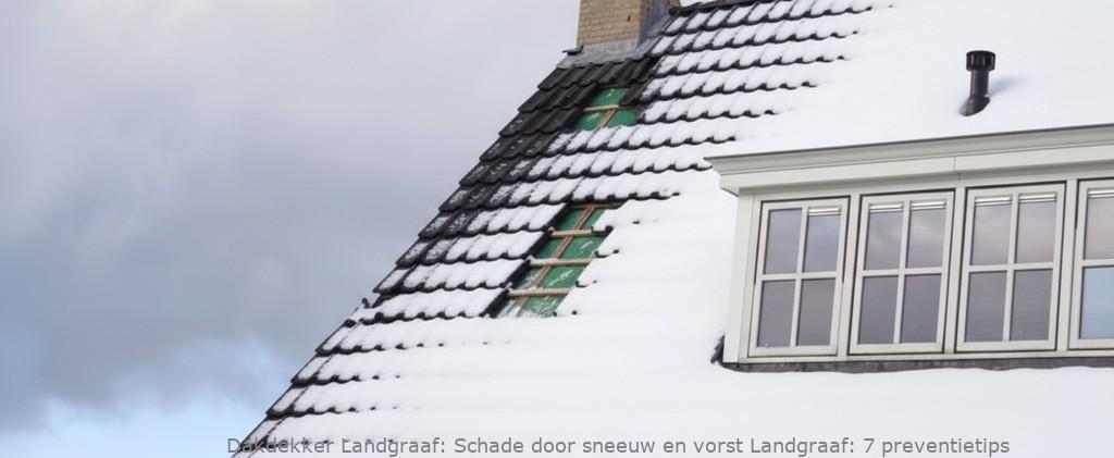 Schade Door Sneeuw En Vorst Landgraaf